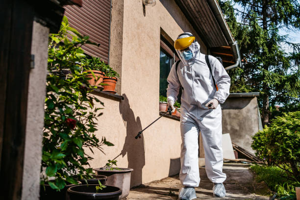 Best Affordable Pest Control Services  in Fountainebleau, FL