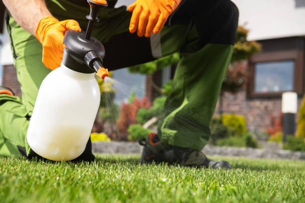 Pest Prevention Services in Fountainebleau, FL
