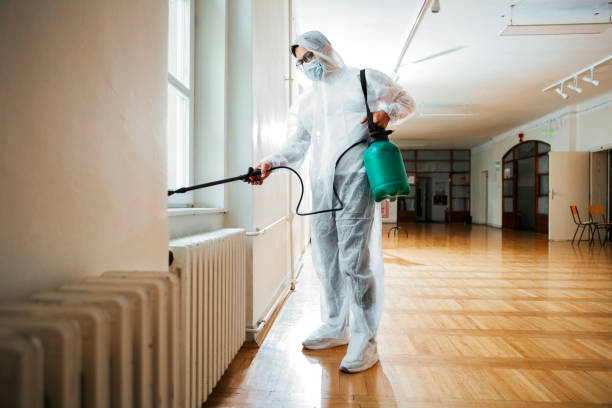 Best Local Pest Control Services  in Fountainebleau, FL